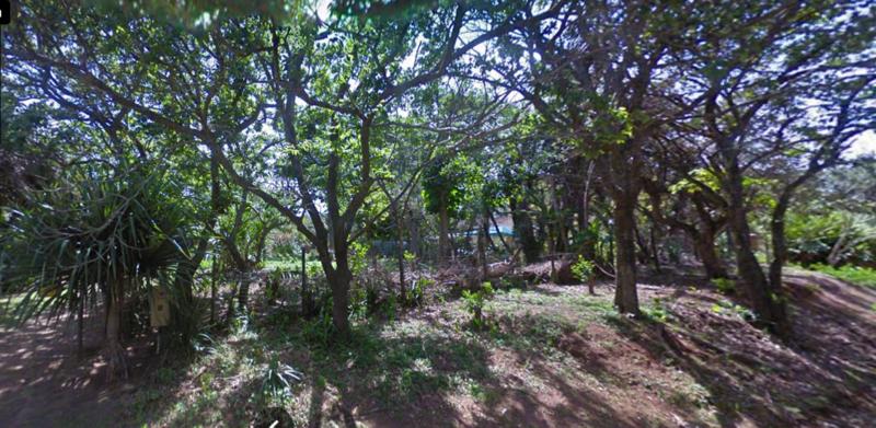0 Bedroom Property for Sale in Trafalgar KwaZulu-Natal