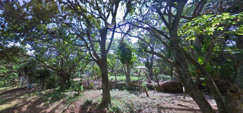 0 Bedroom Property for Sale in Trafalgar KwaZulu-Natal