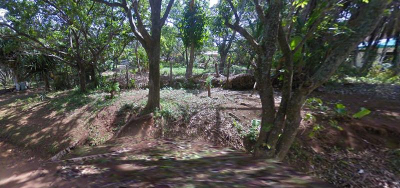 0 Bedroom Property for Sale in Trafalgar KwaZulu-Natal