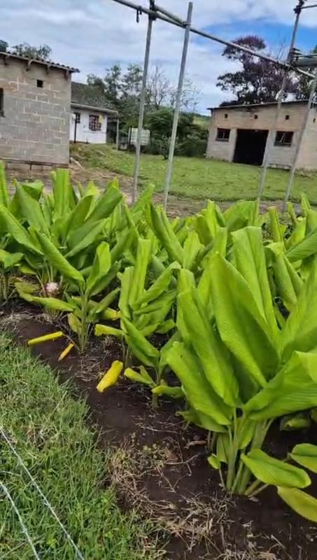 0 Bedroom Property for Sale in Umzinto KwaZulu-Natal