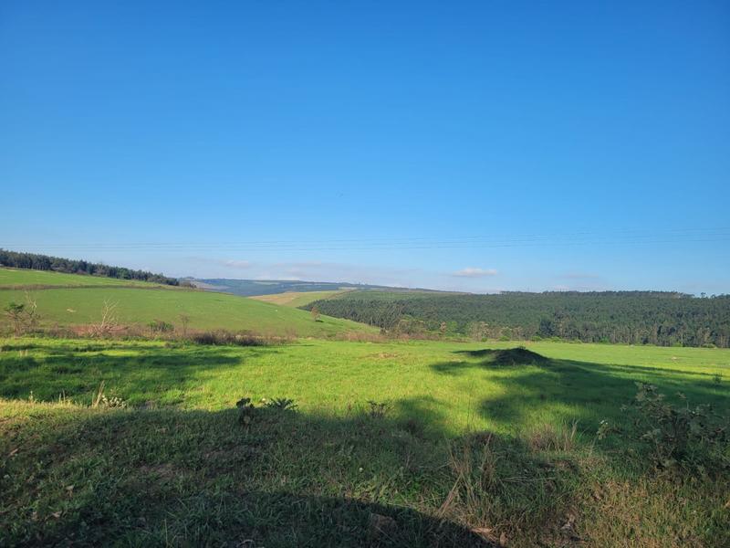 0 Bedroom Property for Sale in Harding KwaZulu-Natal