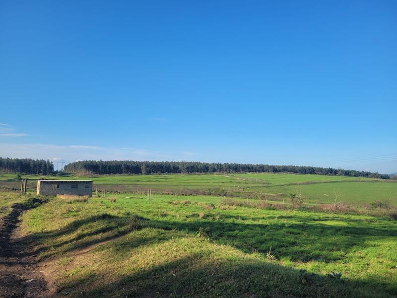 0 Bedroom Property for Sale in Harding KwaZulu-Natal