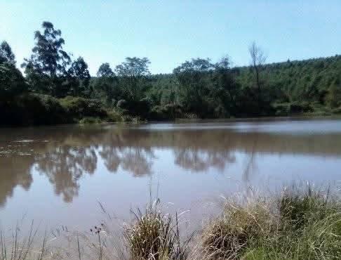 0 Bedroom Property for Sale in Harding KwaZulu-Natal