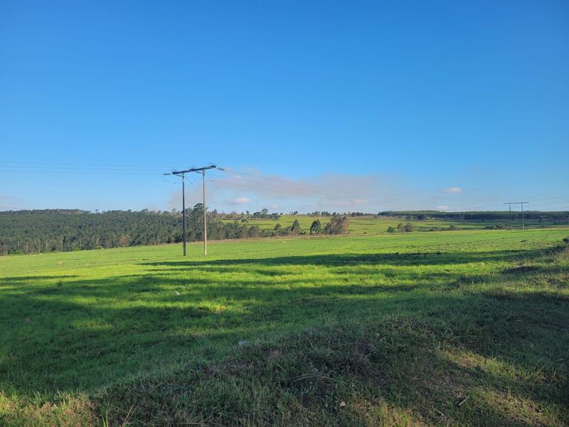 0 Bedroom Property for Sale in Harding KwaZulu-Natal