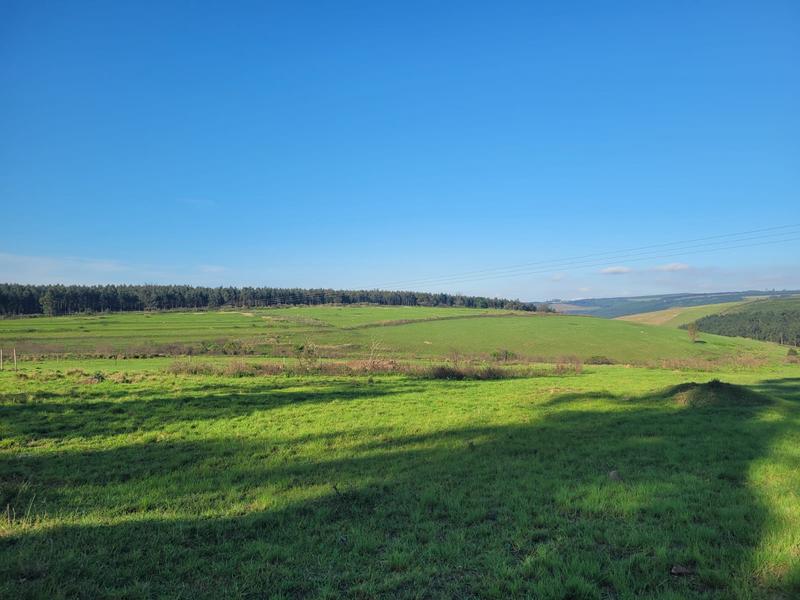 0 Bedroom Property for Sale in Harding KwaZulu-Natal