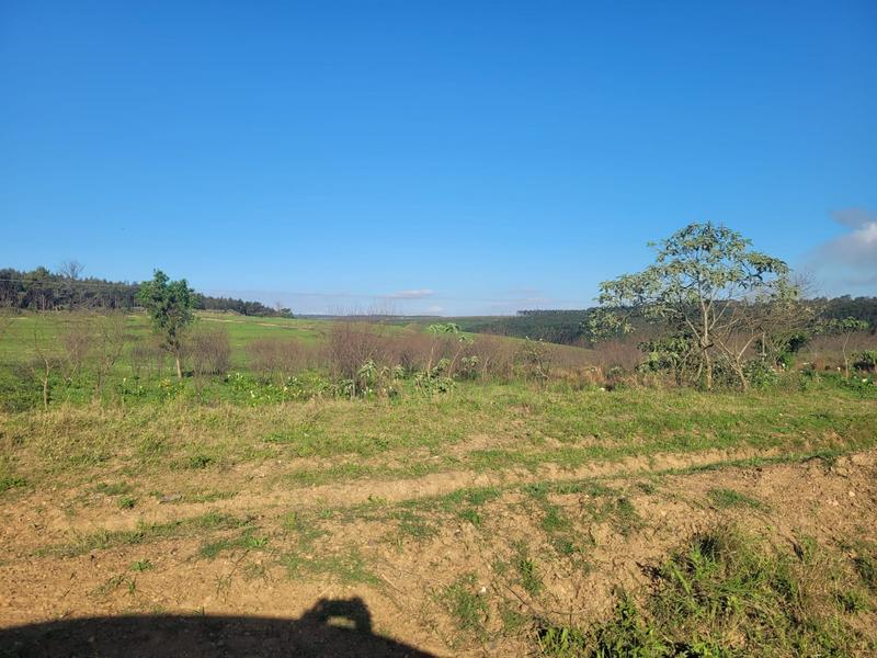 0 Bedroom Property for Sale in Harding KwaZulu-Natal