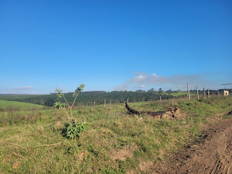 0 Bedroom Property for Sale in Harding KwaZulu-Natal