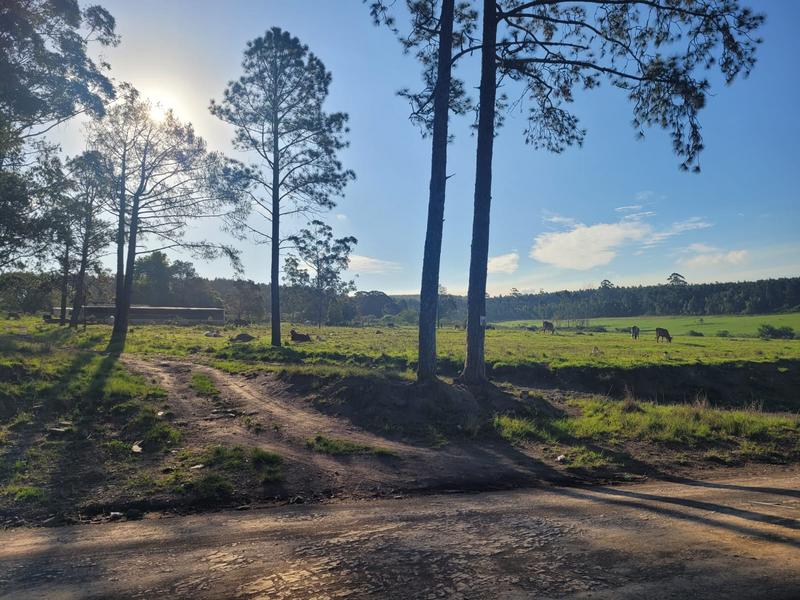 0 Bedroom Property for Sale in Harding KwaZulu-Natal