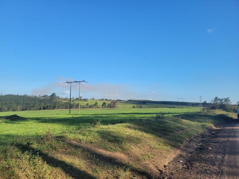 0 Bedroom Property for Sale in Harding KwaZulu-Natal