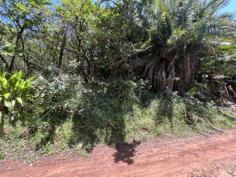 0 Bedroom Property for Sale in Palm Beach KwaZulu-Natal