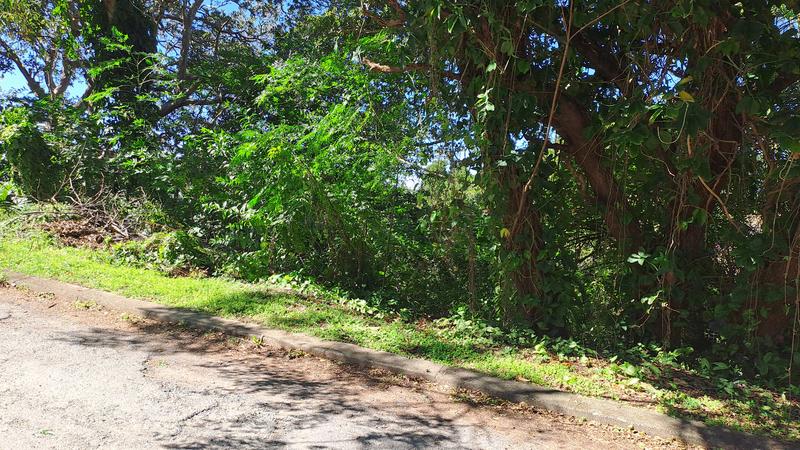 0 Bedroom Property for Sale in Uvongo KwaZulu-Natal