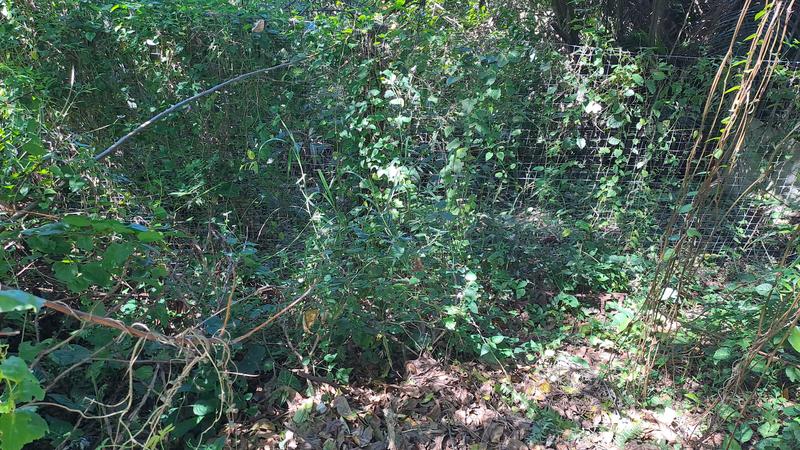 0 Bedroom Property for Sale in Uvongo KwaZulu-Natal