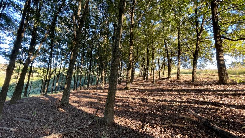 4 Bedroom Property for Sale in Hilton Rural KwaZulu-Natal