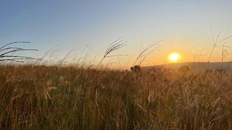 4 Bedroom Property for Sale in Hilton Rural KwaZulu-Natal
