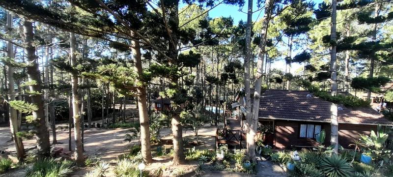 3 Bedroom Property for Sale in Hibberdene KwaZulu-Natal