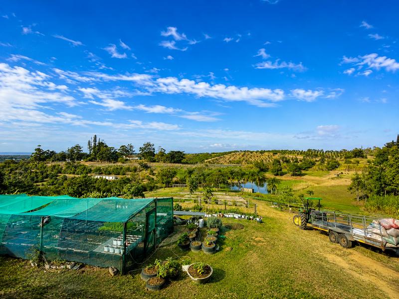 6 Bedroom Property for Sale in Shelly Beach KwaZulu-Natal