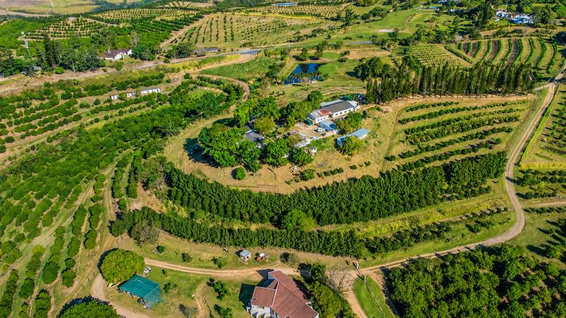 6 Bedroom Property for Sale in Shelly Beach KwaZulu-Natal