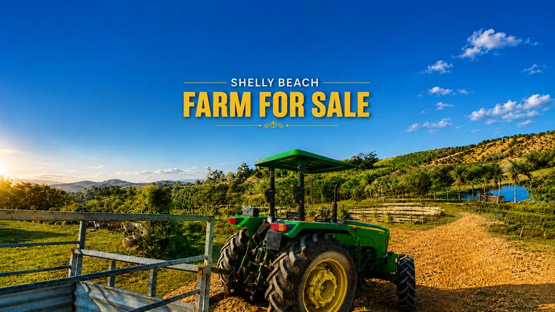 6 Bedroom Property for Sale in Shelly Beach KwaZulu-Natal