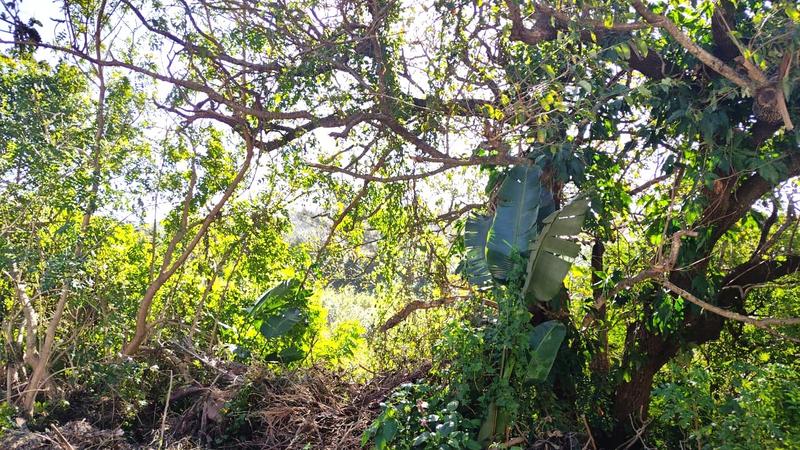 0 Bedroom Property for Sale in Ramsgate KwaZulu-Natal