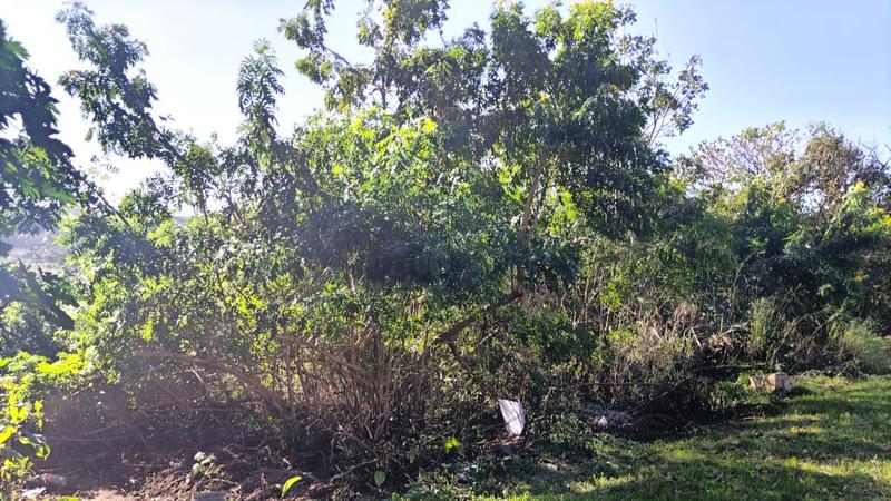 0 Bedroom Property for Sale in Ramsgate KwaZulu-Natal