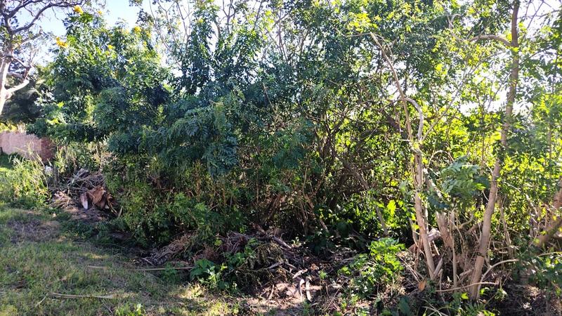 0 Bedroom Property for Sale in Ramsgate KwaZulu-Natal