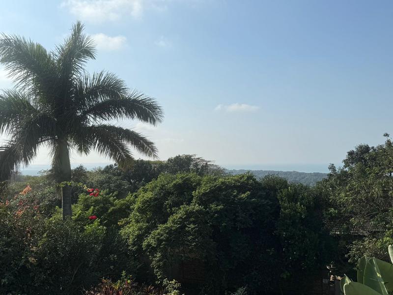 4 Bedroom Property for Sale in Mtunzini KwaZulu-Natal