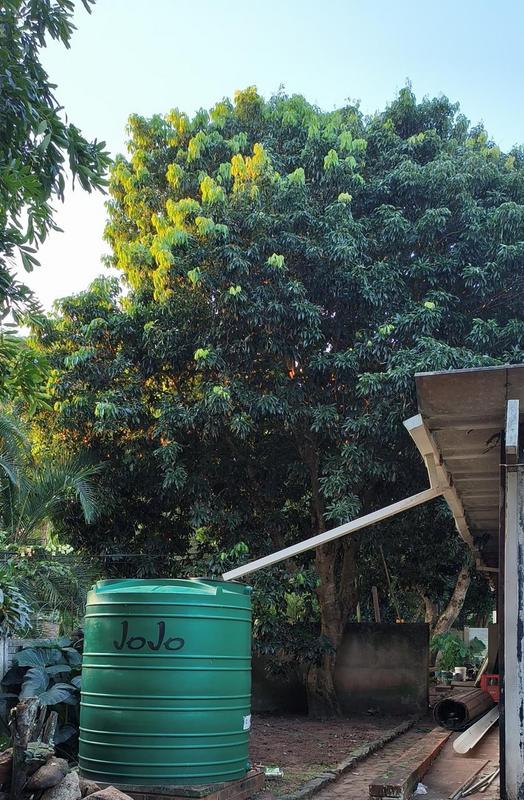 3 Bedroom Property for Sale in Mtunzini KwaZulu-Natal