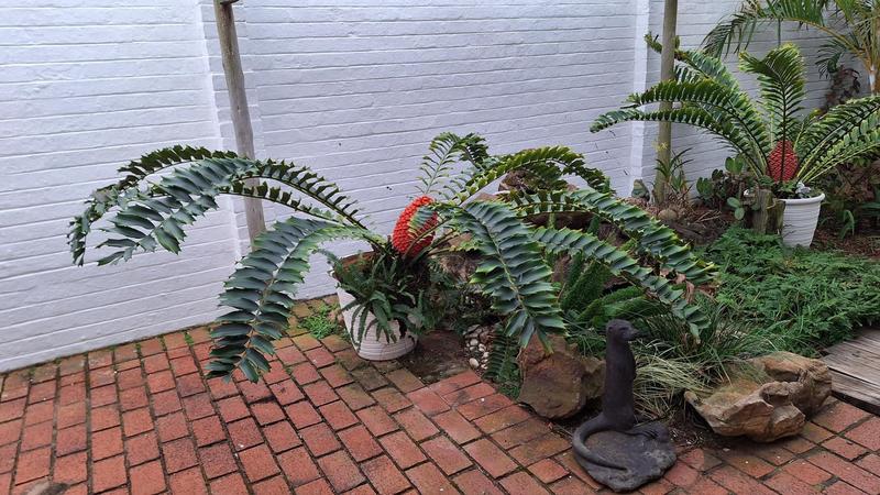 3 Bedroom Property for Sale in Widenham KwaZulu-Natal