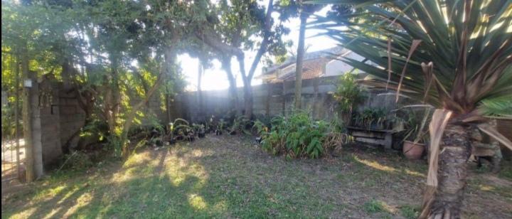 3 Bedroom Property for Sale in Arboretum KwaZulu-Natal