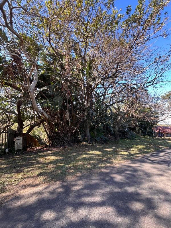 0 Bedroom Property for Sale in Southbroom KwaZulu-Natal