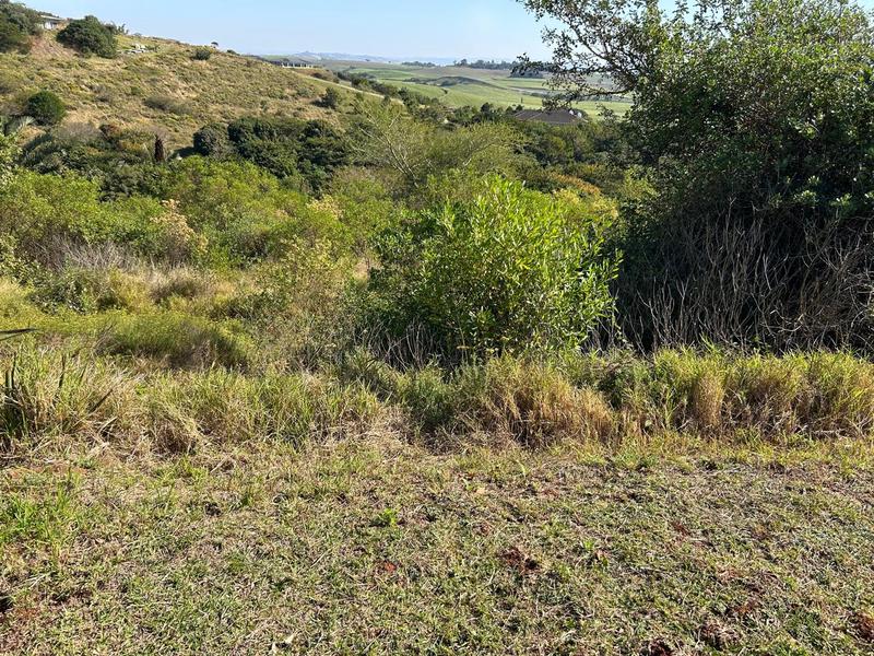 0 Bedroom Property for Sale in Zini River Estate KwaZulu-Natal