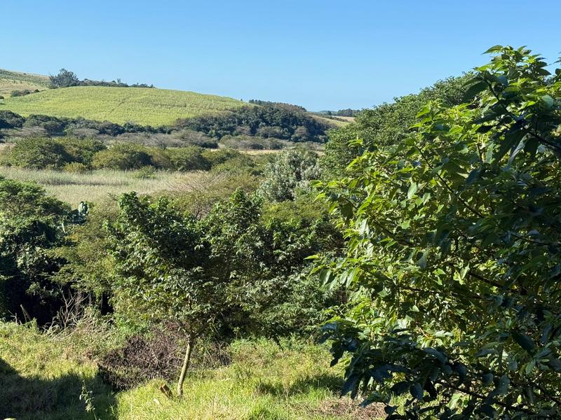 0 Bedroom Property for Sale in Zini River Estate KwaZulu-Natal