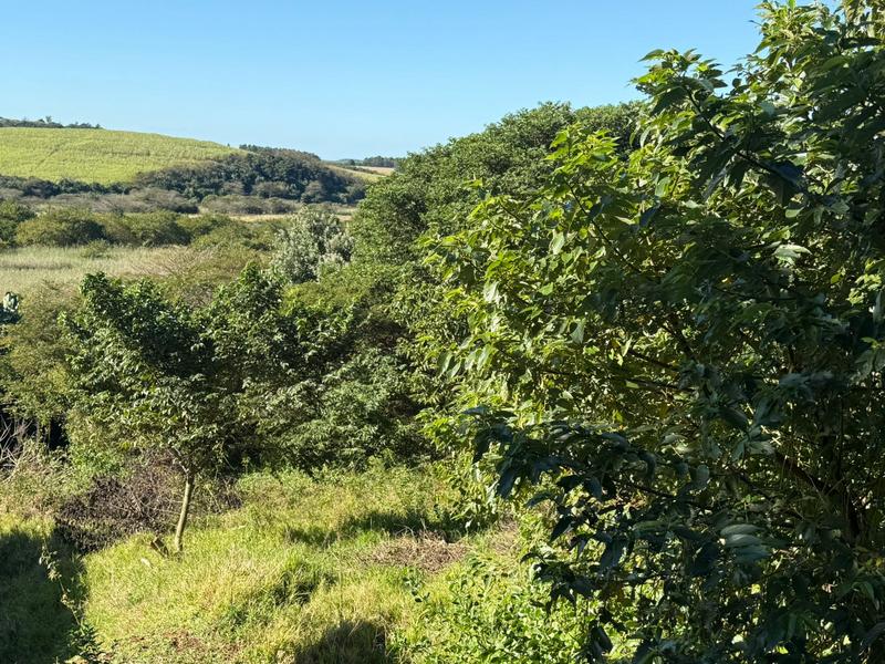 0 Bedroom Property for Sale in Zini River Estate KwaZulu-Natal