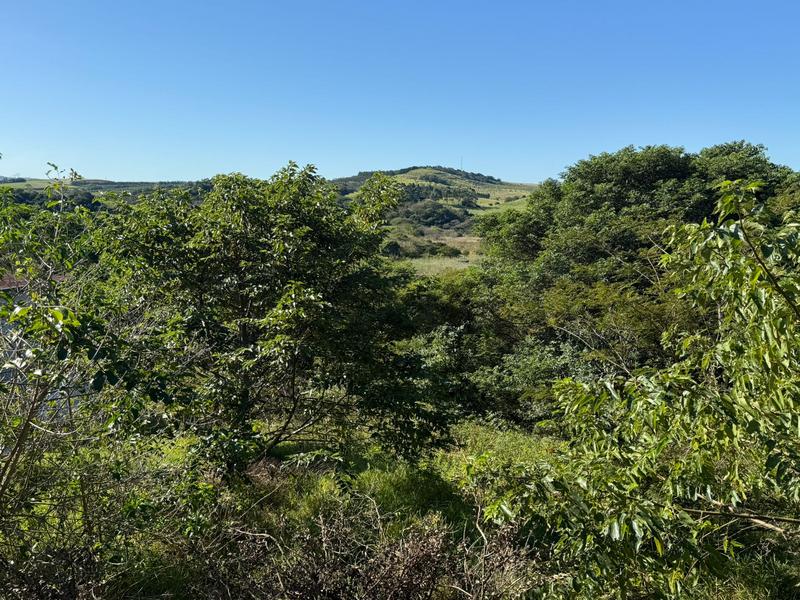 0 Bedroom Property for Sale in Zini River Estate KwaZulu-Natal