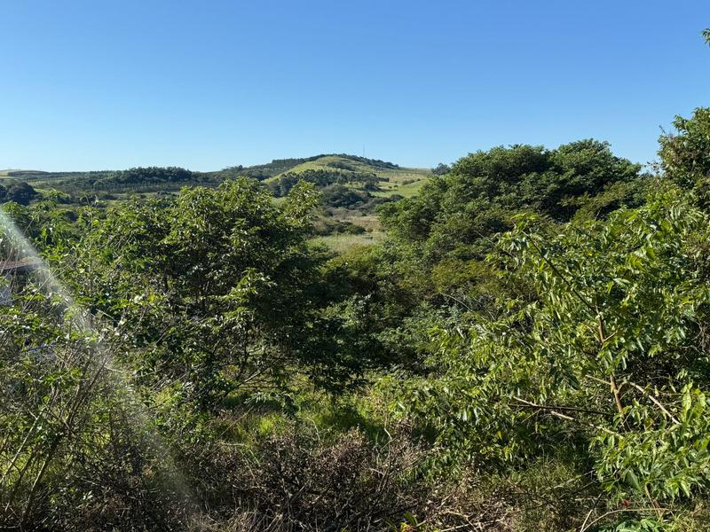 0 Bedroom Property for Sale in Zini River Estate KwaZulu-Natal