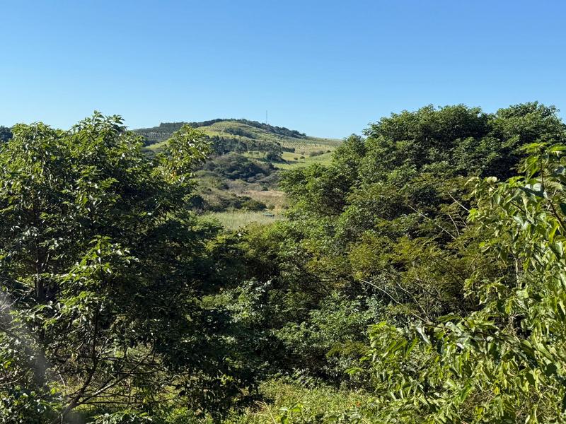 0 Bedroom Property for Sale in Zini River Estate KwaZulu-Natal