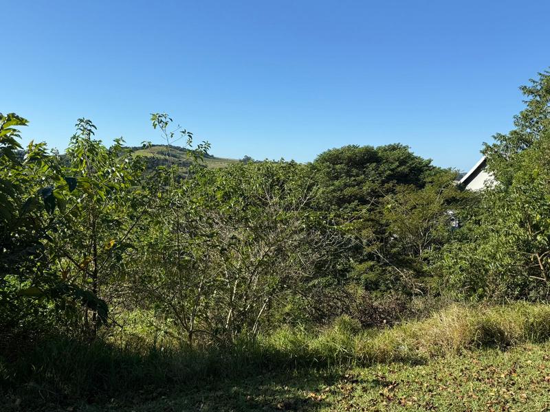 0 Bedroom Property for Sale in Zini River Estate KwaZulu-Natal