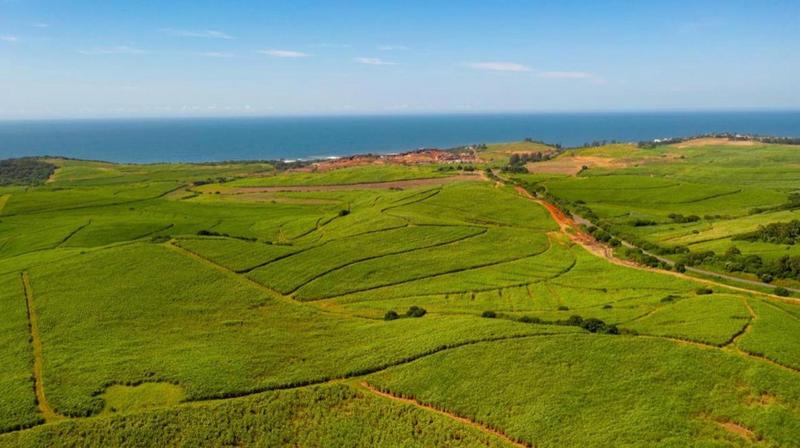 0 Bedroom Property for Sale in Ballito KwaZulu-Natal