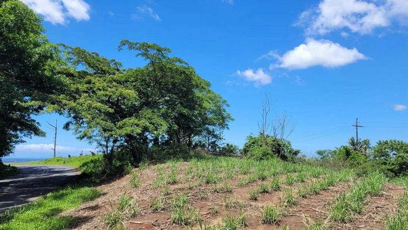 0 Bedroom Property for Sale in Ballito KwaZulu-Natal