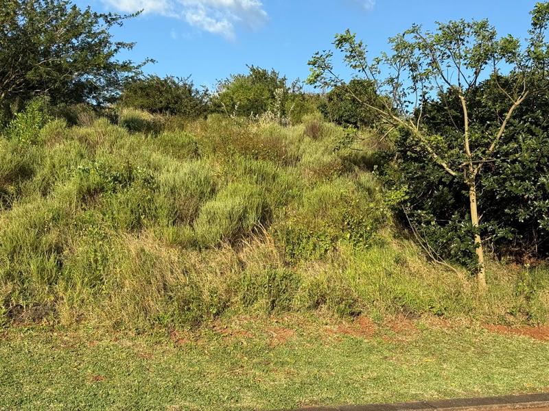 0 Bedroom Property for Sale in Zini River Estate KwaZulu-Natal