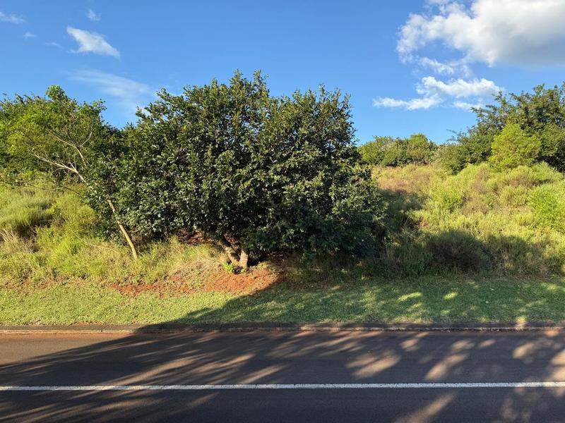 0 Bedroom Property for Sale in Zini River Estate KwaZulu-Natal