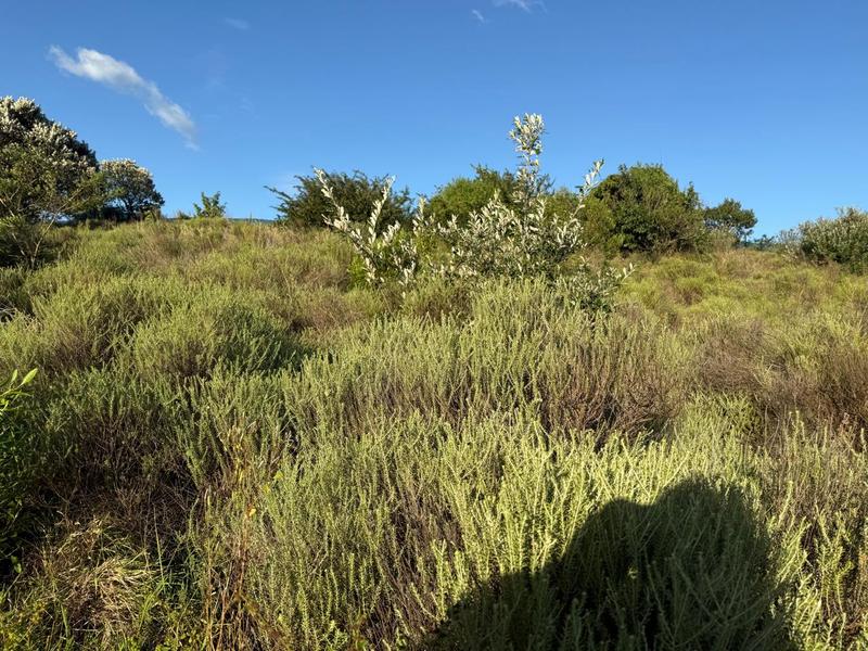 0 Bedroom Property for Sale in Zini River Estate KwaZulu-Natal