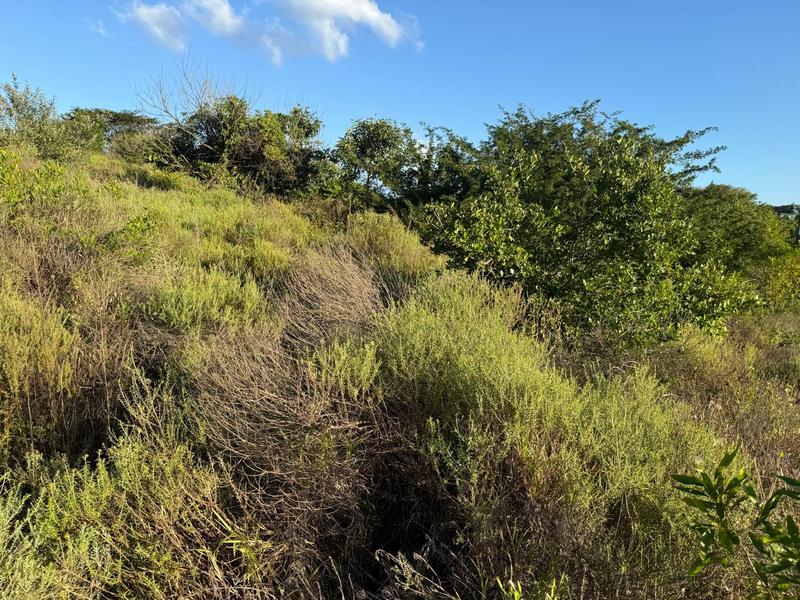 0 Bedroom Property for Sale in Zini River Estate KwaZulu-Natal