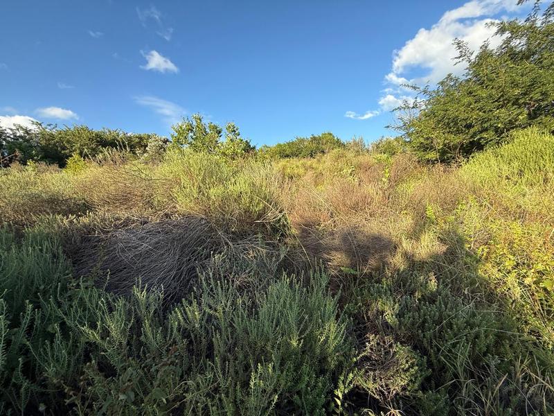 0 Bedroom Property for Sale in Zini River Estate KwaZulu-Natal