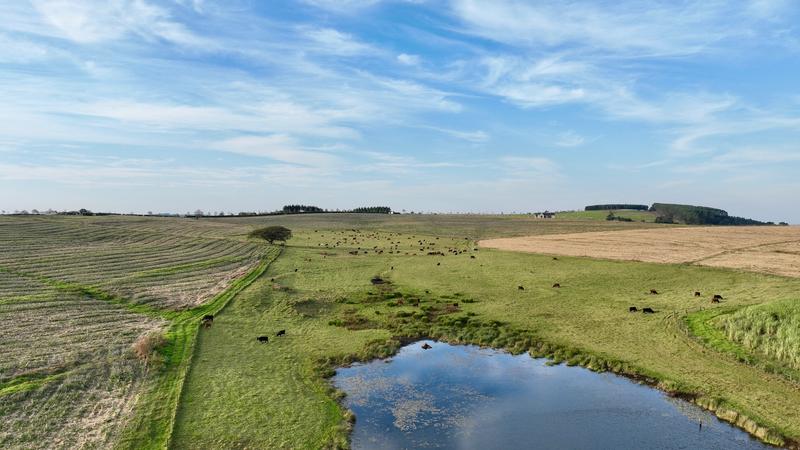 0 Bedroom Property for Sale in Mount Verde KwaZulu-Natal