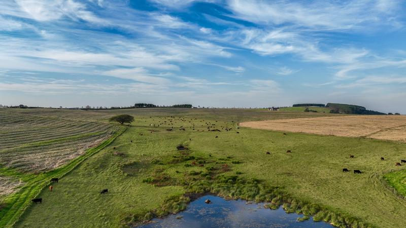 0 Bedroom Property for Sale in Mount Verde KwaZulu-Natal