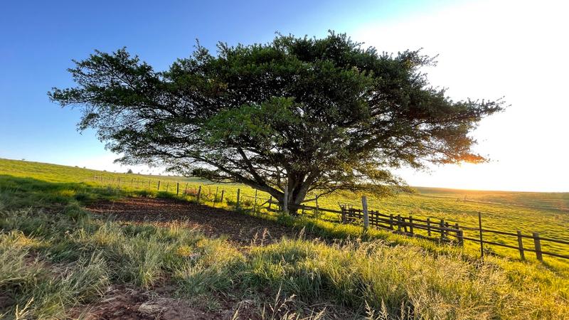 0 Bedroom Property for Sale in Mount Verde KwaZulu-Natal