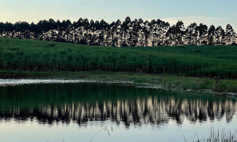 0 Bedroom Property for Sale in Mount Verde KwaZulu-Natal