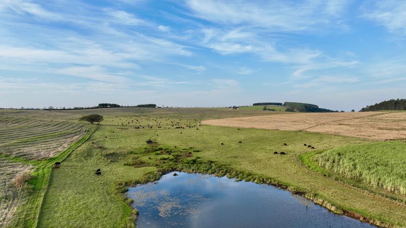 0 Bedroom Property for Sale in Mount Verde KwaZulu-Natal