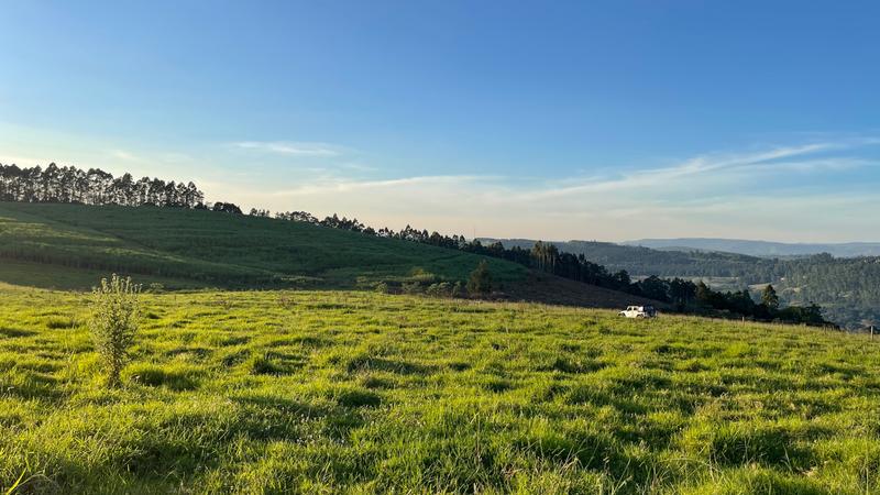 0 Bedroom Property for Sale in Mount Verde KwaZulu-Natal